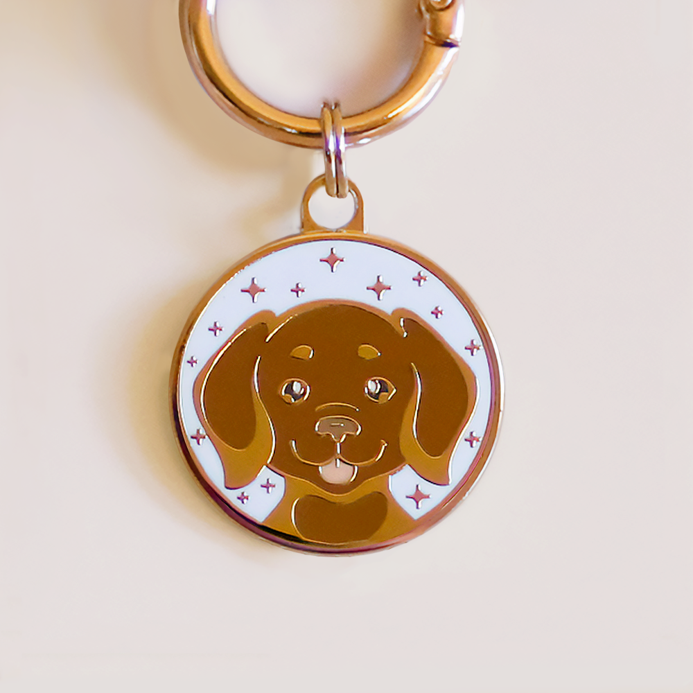 Vizsla Dog ID Tag
